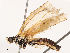  ( - CBG-B07606-D09)  @11 [ ] CreativeCommons - Attribution Share - Alike (2025) CBG Photography Group Centre for Biodiversity Genomics