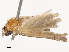  ( - CBG-B07606-E06)  @11 [ ] CreativeCommons - Attribution Share - Alike (2025) CBG Photography Group Centre for Biodiversity Genomics