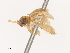  ( - CBG-B07606-H02)  @11 [ ] CreativeCommons - Attribution Share - Alike (2025) CBG Photography Group Centre for Biodiversity Genomics