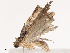  ( - CBG-B14652-H01)  @11 [ ] CreativeCommons - Attribution Share - Alike (2025) CBG Photography Group Centre for Biodiversity Genomics