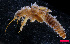  ( - USGSJJGZAP2014G1)  @11 [ ] CreativeCommons - Attribution Non-Commercial Share-Alike (2016) Unspecified U. S. Geological Survey