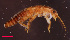  ( - USGSJJGZAP2014V1)  @11 [ ] CreativeCommons - Attribution Non-Commercial Share-Alike (2016) Unspecified U. S. Geological Survey