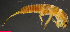  ( - USGSJJGZAP2328B1)  @11 [ ] CreativeCommons - Attribution Non-Commercial Share-Alike (2016) Unspecified U. S. Geological Survey