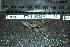  ( - HKL-G53)  @12 [ ] Unspecified (default): All Rights Reserved  Unspecified Unspecified