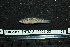  (Mogurnda - HKL-G120)  @13 [ ] Unspecified (default): All Rights Reserved  Unspecified Unspecified