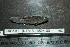  ( - HKL-G121)  @12 [ ] Unspecified (default): All Rights Reserved  Unspecified Unspecified