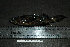  ( - HKL-G111)  @13 [ ] Unspecified (default): All Rights Reserved  Unspecified Unspecified