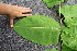  ( - KL-183985)  @11 [ ] Copyright (2018) E.C.O. Institute of Ecology E.C.O. Institute of Ecology