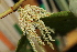  ( - KL-183985)  @11 [ ] Copyright (2018) E.C.O. Institute of Ecology E.C.O. Institute of Ecology