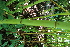  ( - KL-183930)  @11 [ ] Copyright (2018) E.C.O. Institute of Ecology E.C.O. Institute of Ecology