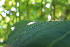  ( - KL-183928)  @11 [ ] Copyright (2018) E.C.O. Institute of Ecology E.C.O. Institute of Ecology