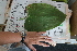  ( - KL-183928)  @11 [ ] Copyright (2018) E.C.O. Institute of Ecology E.C.O. Institute of Ecology