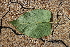  ( - KL-183969)  @11 [ ] Copyright (2018) E.C.O. Institute of Ecology E.C.O. Institute of Ecology