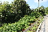  ( - KL-183971)  @11 [ ] Copyright (2018) E.C.O. Institute of Ecology E.C.O. Institute of Ecology