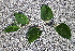  ( - KL-183971)  @11 [ ] Copyright (2018) E.C.O. Institute of Ecology E.C.O. Institute of Ecology
