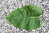  ( - KL-183971)  @11 [ ] Copyright (2018) E.C.O. Institute of Ecology E.C.O. Institute of Ecology