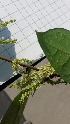  ( - KL-183902)  @11 [ ] Copyright (2018) E.C.O. Institute of Ecology E.C.O. Institute of Ecology