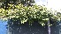  ( - KL-183902)  @11 [ ] Copyright (2018) E.C.O. Institute of Ecology E.C.O. Institute of Ecology