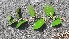  ( - KL-183902)  @11 [ ] Copyright (2018) E.C.O. Institute of Ecology E.C.O. Institute of Ecology