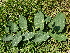  ( - KL-183987)  @11 [ ] Copyright (2018) E.C.O. Institute of Ecology E.C.O. Institute of Ecology