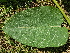 ( - KL-183987)  @11 [ ] Copyright (2018) E.C.O. Institute of Ecology E.C.O. Institute of Ecology