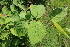  ( - KL-183937)  @11 [ ] Copyright (2018) E.C.O. Institute of Ecology E.C.O. Institute of Ecology