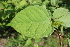  ( - KL-183937)  @11 [ ] Copyright (2018) E.C.O. Institute of Ecology E.C.O. Institute of Ecology