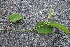  ( - KL-183924)  @11 [ ] Copyright (2018) E.C.O. Institute of Ecology E.C.O. Institute of Ecology