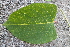  ( - KL-183924)  @11 [ ] Copyright (2018) E.C.O. Institute of Ecology E.C.O. Institute of Ecology