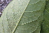  ( - KL-183924)  @11 [ ] Copyright (2018) E.C.O. Institute of Ecology E.C.O. Institute of Ecology