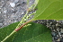  ( - KL-183924)  @11 [ ] Copyright (2018) E.C.O. Institute of Ecology E.C.O. Institute of Ecology