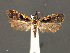  ( - SL0299)  @13 [ ] CreativeCommons - Attribution (2010) Unspecified Centre for Biodiversity Genomics