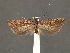  ( - SL0301)  @13 [ ] CreativeCommons - Attribution (2010) Unspecified Centre for Biodiversity Genomics