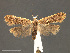  ( - SL0302)  @13 [ ] CreativeCommons - Attribution (2010) Unspecified Centre for Biodiversity Genomics