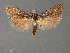  ( - SL0310)  @14 [ ] CreativeCommons - Attribution (2010) Unspecified Centre for Biodiversity Genomics