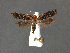  ( - SL0320)  @13 [ ] CreativeCommons - Attribution (2010) Unspecified Centre for Biodiversity Genomics