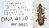  ( - DNA4130)  @11 [ ] Unspecified (default): All Rights Reserved  Unspecified University of Arizona, Insect Collection