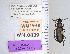  ( - DNA1948)  @11 [ ] Unspecified (default): All Rights Reserved  Unspecified University of Arizona, Insect Collection
