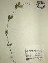  ( - GPAGA 217)  @11 [ ] Copyright (2017) Columbus State University Columbus State University