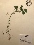  ( - GPAGA 347)  @11 [ ] Copyright (2017) Columbus State University Columbus State University