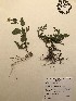  ( - GPAGA 359)  @11 [ ] Copyright (2017) Columbus State University Columbus State University