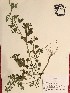  ( - GPAGA 454)  @11 [ ] Copyright (2017) Columbus State University Columbus State University