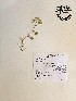  ( - GPAGA 484)  @11 [ ] Copyright (2017) Columbus State University Columbus State University
