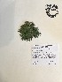  ( - GPAGA 491)  @11 [ ] Copyright (2017) Columbus State University Columbus State University