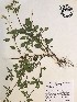  ( - GPAGA 519)  @11 [ ] Copyright (2017) Columbus State University Columbus State University