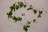  ( - RDS133)  @11 [ ] Attribution Non-Commercial Share-Alike (2025) Jacqueline Kumadoh A Rocha Ghana