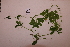  ( - RDS137)  @11 [ ] Attribution Non-Commercial Share-Alike (2025) Jacqueline Kumadoh A Rocha Ghana