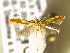  ( - CLV6278)  @13 [ ] CreativeCommons  Attribution Non-Commercial Share-Alike (2016) Carlos Lopez Vaamonde Institut National de la Recherche Agronomique, Zoologie Forestiere