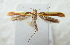  ( - CLV6341)  @12 [ ] CreativeCommons  Attribution Non-Commercial Share-Alike (2016) Carlos Lopez Vaamonde Institut National de la Recherche Agronomique, Zoologie Forestiere
