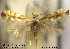  ( - E05phyllo)  @11 [ ] Unspecified (default): All Rights Reserved  Unspecified Unspecified
